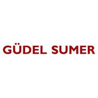 GUDEL SUMER High-precision planetary gearbox