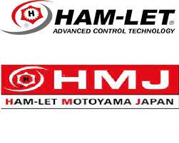 HAM-LET MOTOYAMA Ultra high purity valves - high temperature