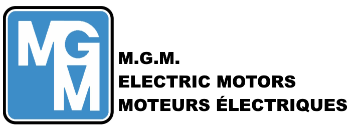MGM Motor with brake