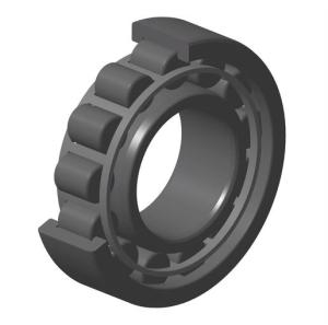 NTN Single row cylindrical roller bearings