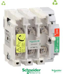SCHNEIDER ELECTRIC TeSys GS - switch-disconnector fuse