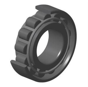 NTN Single row cylindrical roller bearings