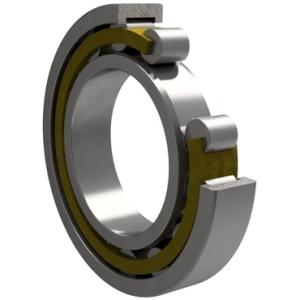 FAG Single-row cylindrical roller bearing with NU design