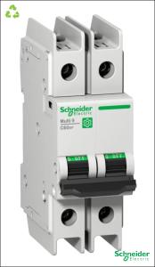 SCHNEIDER ELECTRIC Disjoncteur