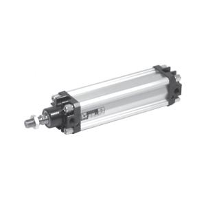 PNEUMAX Cylinder