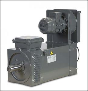 VASCAT Servomoteur