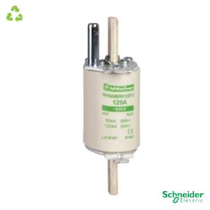 SCHNEIDER ELECTRIC Fusibles