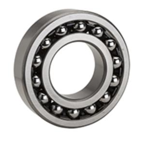NTN Double-row self-aligning ball bearing without seal